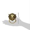 Aakrati Lion Face Door Knocker Brown view 2