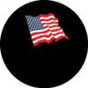 Dish Cover for Round or Elliptical Dish - USA Flag on Black - The Dish Hoodie view 1