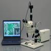 AmScope HL250-AY Dual-Gooseneck Fiber Optic Stereo Microscope Light, 150W Halogen Light Source, 110V-120V view 4