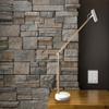 ADS360 AD9100-12 Crane LED Desk Lamp view 2