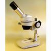 AmScope K104-ZZ Elementary Stereo/Dissecting Microscope, 10x and 25x Eyepiece, 20x-50x Magnification, Reversible Black/White Stage Plate, Heavy-Duty Frame view 3