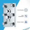 Blue Ocean 52" Aluminum SPA392M Shower Panel Tower System with Rainfall Shower Head and 8 Adjustable Massage Jets view 3