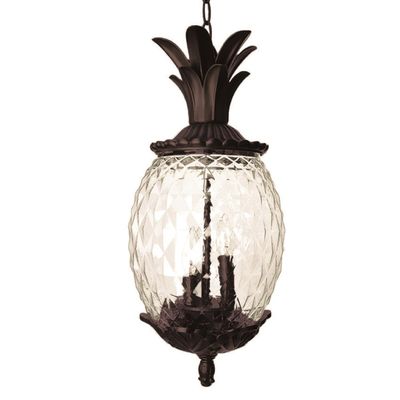 Acclaim 7516BC Lanai Collection 3-Light Outdoor Light Fixture Hanging Lantern, Black Coral