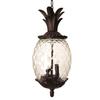 Acclaim 7516BC Lanai Collection 3-Light Outdoor Light Fixture Hanging Lantern, Black Coral view 1