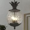 Acclaim 7516BC Lanai Collection 3-Light Outdoor Light Fixture Hanging Lantern, Black Coral view 2