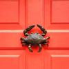 Crab Door Knocker - Oiled Bronze (Standard Size) view 2
