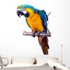 Wallmonkeys Blue Parrot Macaw Wall Decal Peel and Stick Animal Graphics (60 in H x 40 in W) WM304915 view 1