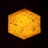 Brownfolds Paper Lantern; Handmade Paper with Red Flower Petals Pastel Yellow view 1