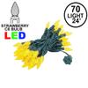 Novelty Lights 24FT 70 LED C6 LED Christmas String Lights, Outdoor Christmas Tree Commercial Grade LED String Lights, Permanent Christmas Lights Outdoor Tree Decorations Outdoor (Yellow) view 2
