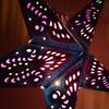Peacock Navy Blue Paper Star Lantern with 12 Foot Power Cord Included view 4