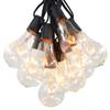 Vintage Edison Outdoor String Lights (PS50 Clear - Black Wire, 25 ft) view 1