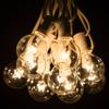 50 Foot Globe String Lights - White Wire - 50 G40 Clear 1.6 Inch Bulbs view 2