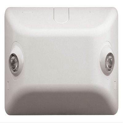 Hubbell Lighting 2 LED Lamps, Remote Light Fixture