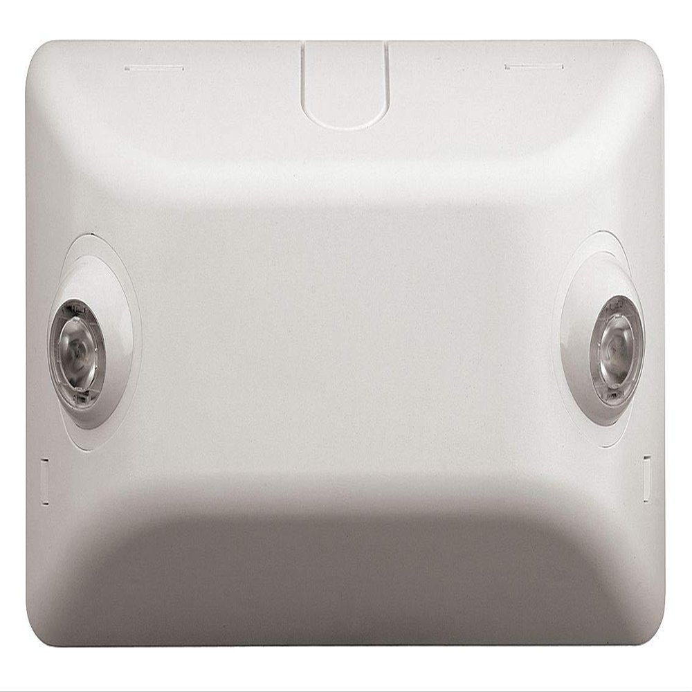 Hubbell Lighting 2 LED Lamps, Remote Light Fixture