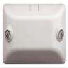 Hubbell Lighting 2 LED Lamps, Remote Light Fixture view 1