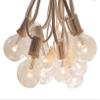 Outdoor Globe String Lights (25 Foot, LED G40 Clear Bulbs - White Wire) view 1