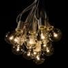 Outdoor Globe String Lights (25 Foot, LED G40 Clear Bulbs - White Wire) view 2
