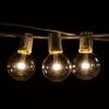 Outdoor Globe String Lights (25 Foot, LED G40 Clear Bulbs - White Wire) view 3