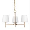 Generation Lighting 3140403EN3-848 Driscoll Three - Light Chandelier Hanging Modern Fixture, Satin Brass, 100 Total Watts, 16.75 Inch Height, 20.5 Inch Diameter, Steel Construction view 1