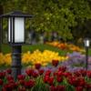 Generation Lighting 89129EN3-12 89129EN3-12 Transitional One Light Outdoor Post Lantern from Seagull Hunnington Collection in Black Finish, 9.00 inches view 2