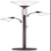 Warwick 71 1/2" Tall Tiger Bronze and Seeded Glass Torchiere Floor Lamp view 2
