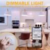 Bonlux 8W G125 LED Globe Light Bulbs, E26 Large Dimmable Filament Bulb Warm White 2700K, Vintage LED Edison Bulbs 60W Equivalent Round Replacement Bulbs, Clear Glass Globe Bulb 800LM, 1 Pack view 4
