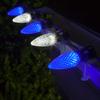 Wintergreen Lighting OptiCore 50 Lights, 50 ft Blue/Cool White C9 LED Christmas Lights Outdoor Commercial-Grade, Parallel Wired, Customizable, Energy Efficient, 18 Gauge, IP67 view 2