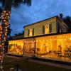 LED Net lights, 200 LED Christmas Light Fairy String Decorative Mesh Warm White for Cocktail Party Birthday BBQ Bistro Cafe 9.8ftx 6.6ft view 4