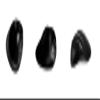 Hippus Wireless Light Click HandShoe Mouse - Small, Black Ergonomic Mouse for Right Hand - Compatible with Mac, Windows, Linux view 4