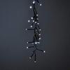 LEDwholesalers Chasing LED Cluster Hanging Garland Light with Multifunction Controller and Dark Green Wire, White, X074WH view 3