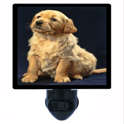 Dog Night Light, Golden Retriever Puppy, Dogs