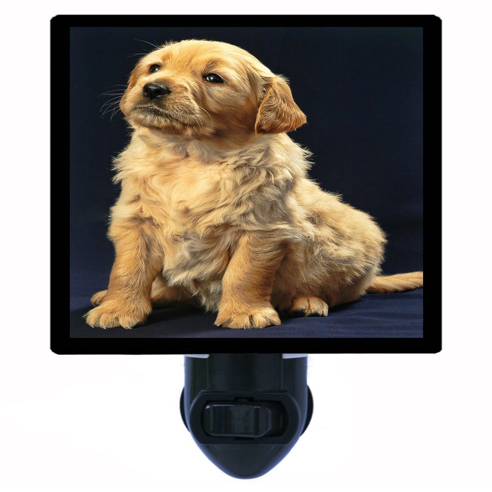 Dog Night Light, Golden Retriever Puppy, Dogs