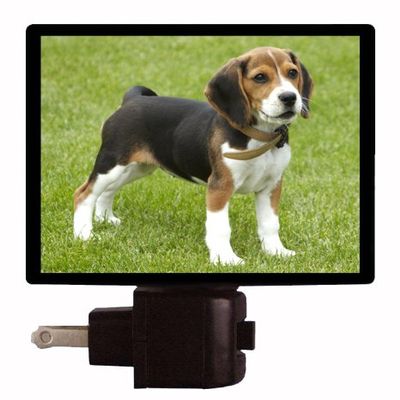 Dog Night Light, Beagle Puppy, Dogs