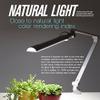 Softech - Natural Ultra Bright Light LED Lamp with swiveling Head & Clamp Type (3 Lighting Modes, 5-Level Dimmer, Touch-Sensitive Control Panel, USB Charging Port, Mobile Device Charger) (Silver) view 4
