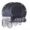 ARO 637140-22 Fluid Section Service Kit with Nitrile Balls & Diaphragms view 1