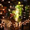 ELEOPTION Outdoor Indoor String Lights Plug in Decorative Fairy LED Light with Waterproof US Plug AC 120V Star String Light for Patio Curtain Bedroom Wedding (6.6Feet with 120LEDs Stars) view 3