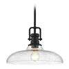 Seeded Glass Pendant Light Black Finish 14-Inch Wide view 1