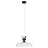 Seeded Glass Pendant Light Black Finish 14-Inch Wide view 2