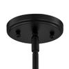 Seeded Glass Pendant Light Black Finish 14-Inch Wide view 3