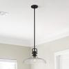 Seeded Glass Pendant Light Black Finish 14-Inch Wide view 4