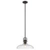 Seeded Glass Pendant Light Bronze Finish 14-Inch Wide view 2