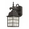 LED Outdoor Wall Mounted Lantern in Black Finish view 1