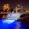 Lumitec SeaBlazeX2 Underwater LED Light - 6000 Lumens, Dual Color White/Blue & RGBW Spectrum - Solid l Bronze - PLI Enabled, Easy Surface Mount Design - 3-Year Warranty - Boat Lighting, White/Blue view 3