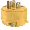 Leviton, Yellow view 2
