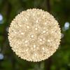 Wintergreen Lighting LED Starlight Sphere, LED Light Ball Sphere Light, Christmas Light Ball, Christmas Decoration (70 Lights, 6", Warm White) view 2