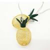 Amants01 Pineapple Metal Fairy String Lights 5ft 10 LEDs Metal Pineapple Wire Best Decoration Lights for Christmas Decoration,House,Room.(Warm White) view 3