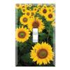Graphics Wallplates - Sun Flowers - Single Toggle Wall Plate Cover view 1