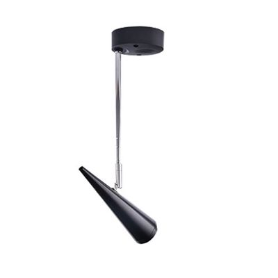 LUMINTURS 12W COB LED Wall Sconces/Ceiling Picture Spot Light, Black