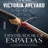Destruidor De Espadas view 1