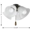 Progress Lighting AirPro 4-Light Ceiling Fan Light Kit, Antique Bronze view 4